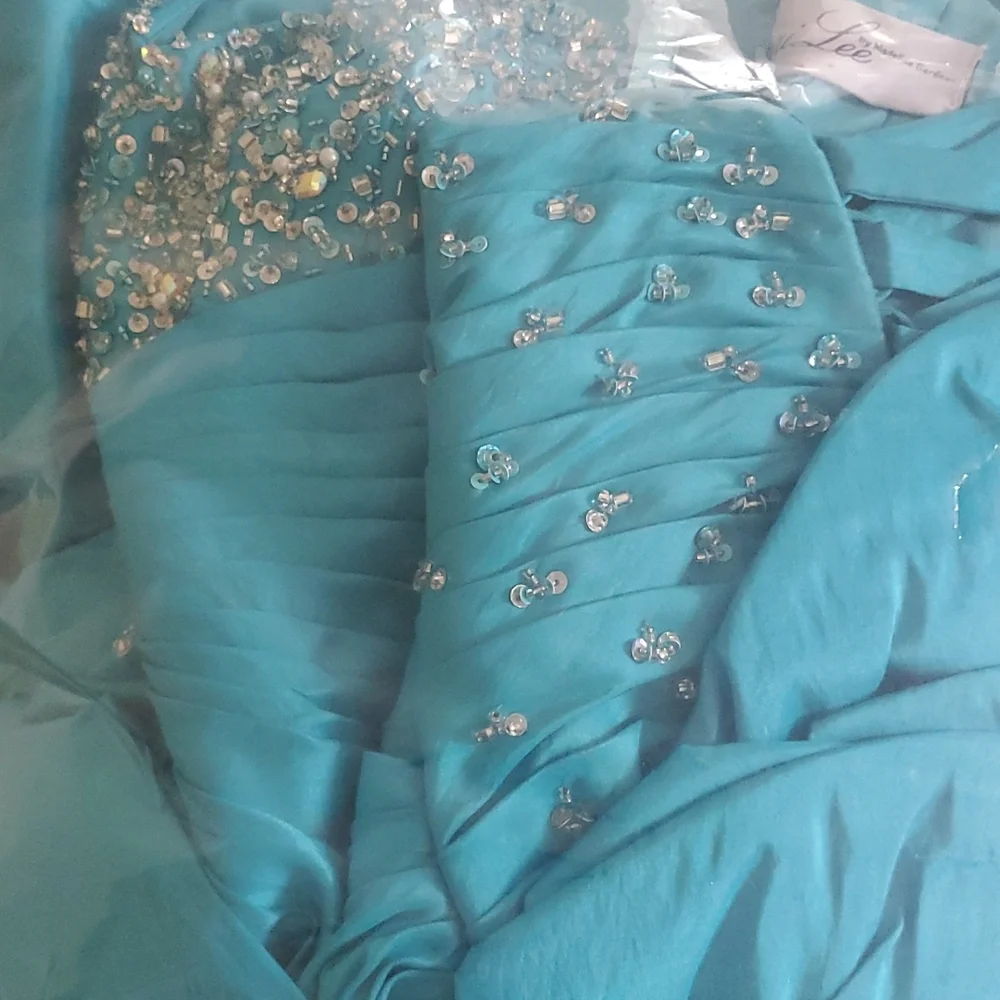 Vizcaya quinceanera dress/prom dress - Picture 11 of 13